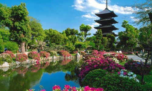 Japan-Tourism-Video